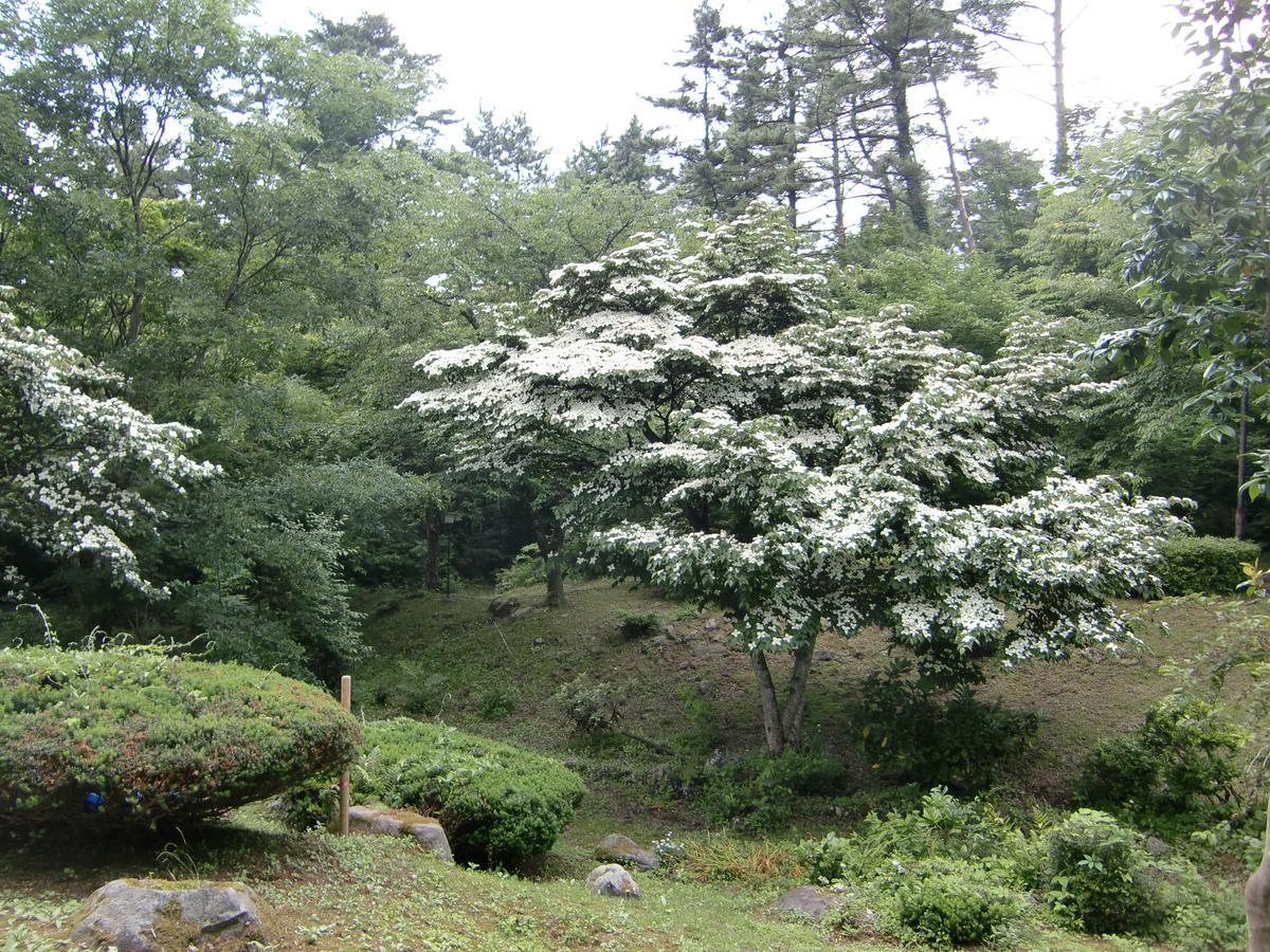 Hale Makawao Acomodação com café da manhã Daisen  Exterior foto